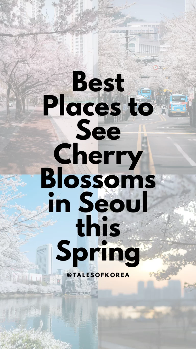 Best Places to See Cherry Blossoms in Seoul, South Korea this Spring 2026